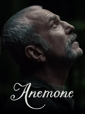 آنمون یا شقایق نعمانی